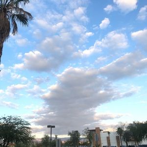 Meet your Posher, Esther